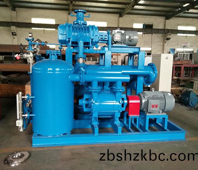 儸(luo)茨(ci)水(shui)環(huán)(huan)機(jī)(ji)組